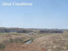 Ideal Conditions